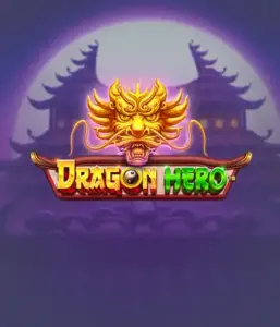 Enter a fantastic quest with Dragon Hero Slot by Pragmatic Play, featuring stunning graphics of mighty dragons and epic encounters. Discover a world where legend meets thrill, with symbols like enchanted weapons, mystical creatures, and treasures for a captivating gaming experience.